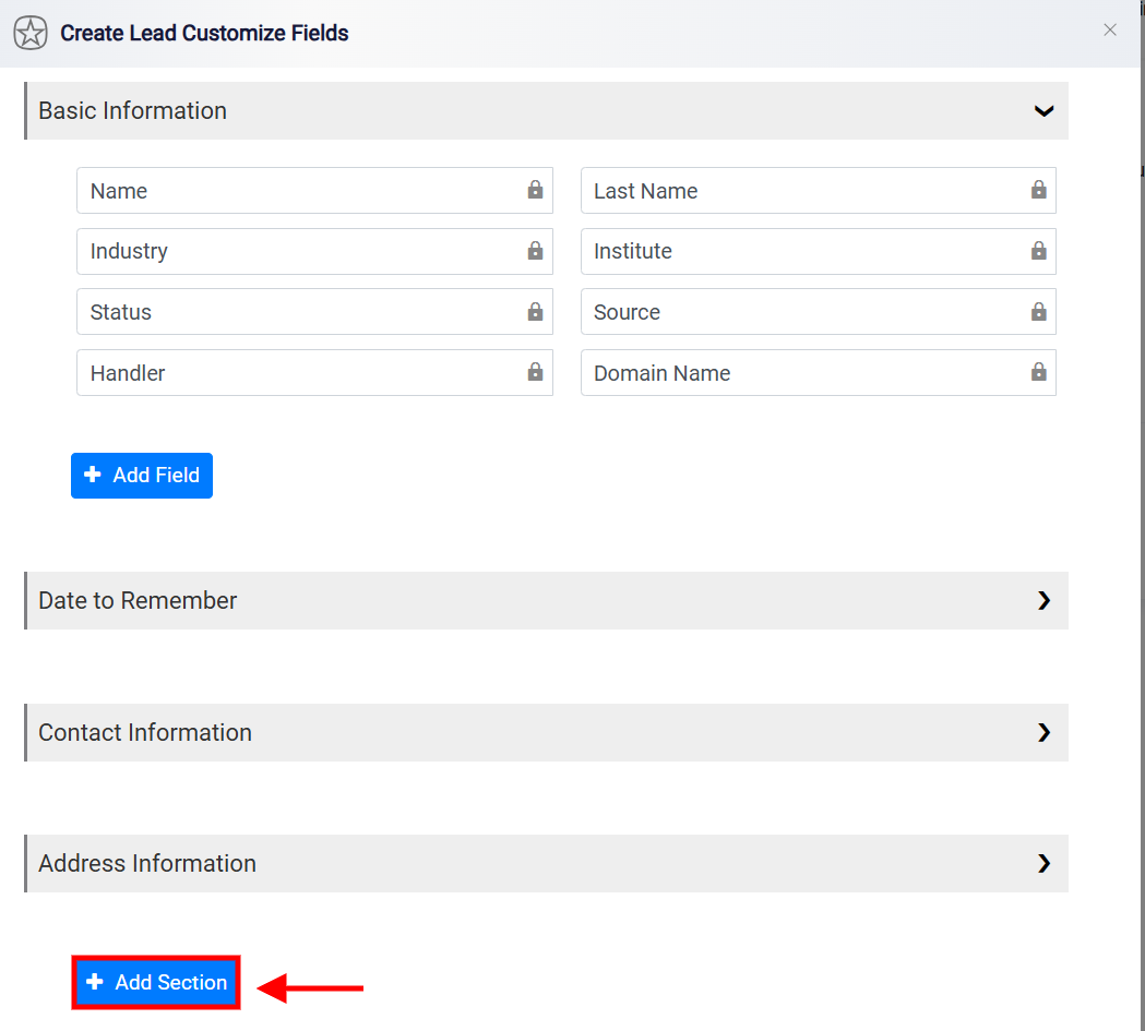 Leads Custom Fields