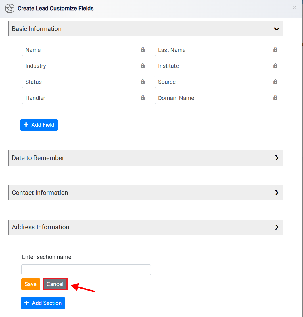 Leads Custom Fields