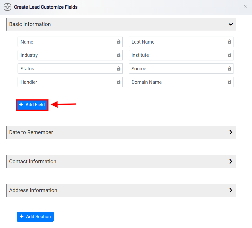 Leads Custom Fields